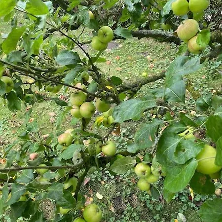 Mit Wasserblick Auf Der Insel Usedom 度假居 Krummin